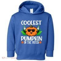 Coolest Pumpkin In The Patch Sunglasses Pumpkin Halloween Gift Toddler Hoodie thumb 0