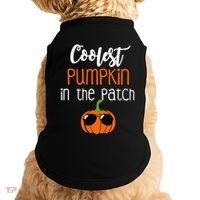 Coolest Pumpkin In The Patch Meaningful Gift Doggie Tank thumb 0