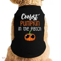Coolest Pumpkin In The Patch Meaningful Gift Doggie Tank thumb 0