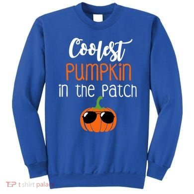Coolest Pumpkin In The Patch Meaningful Gift Sweatshirt