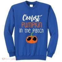 Coolest Pumpkin In The Patch Meaningful Gift Sweatshirt thumb 0