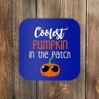 Coolest Pumpkin In The Patch Meaningful Gift Coaster thumb 0
