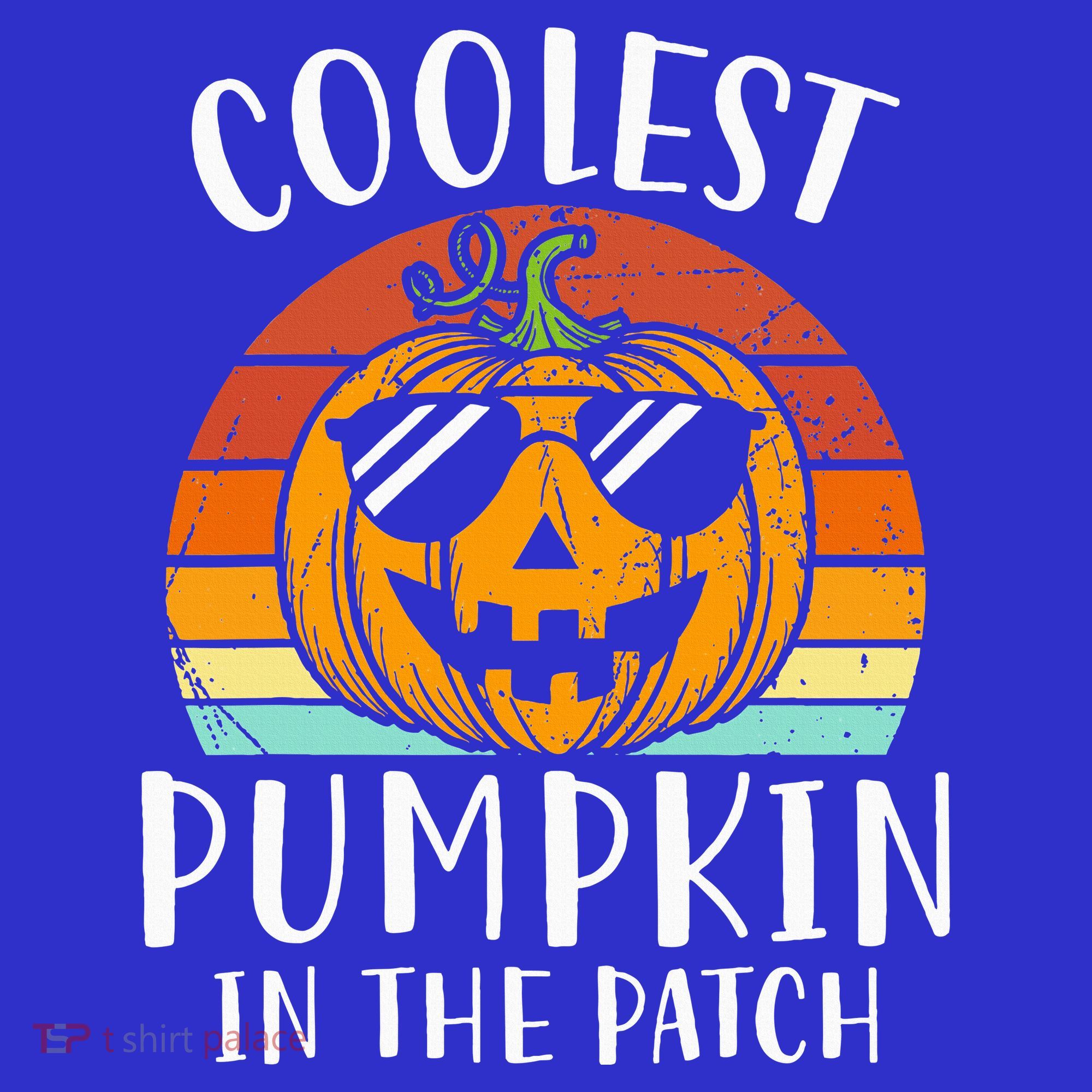 Coolest Pumpkin In The Patch Halloween Long Sleeve Shirt