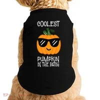Coolest Pumpkin In The Patch Halloween Doggie Tank thumb 0
