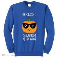 Coolest Pumpkin In The Patch Halloween Sweatshirt thumb 0