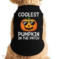 Coolest Pumpkin In The Patch Halloween Doggie Tank thumb 0