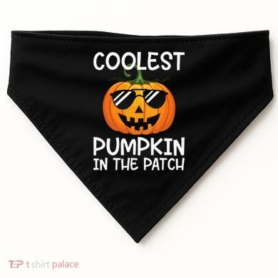 Coolest Pumpkin In The Patch Halloween USA-Made Doggie Bandana