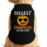 Coolest Pumpkin In The Patch Funny Halloween Gift Funny Gift Doggie Tank thumb 0
