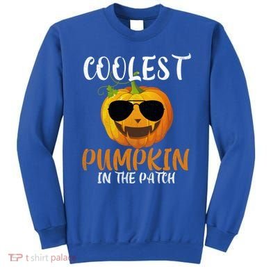 Coolest Pumpkin In The Patch Funny Halloween Gift Funny Gift Sweatshirt