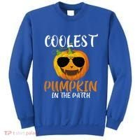 Coolest Pumpkin In The Patch Funny Halloween Gift Funny Gift Sweatshirt thumb 0