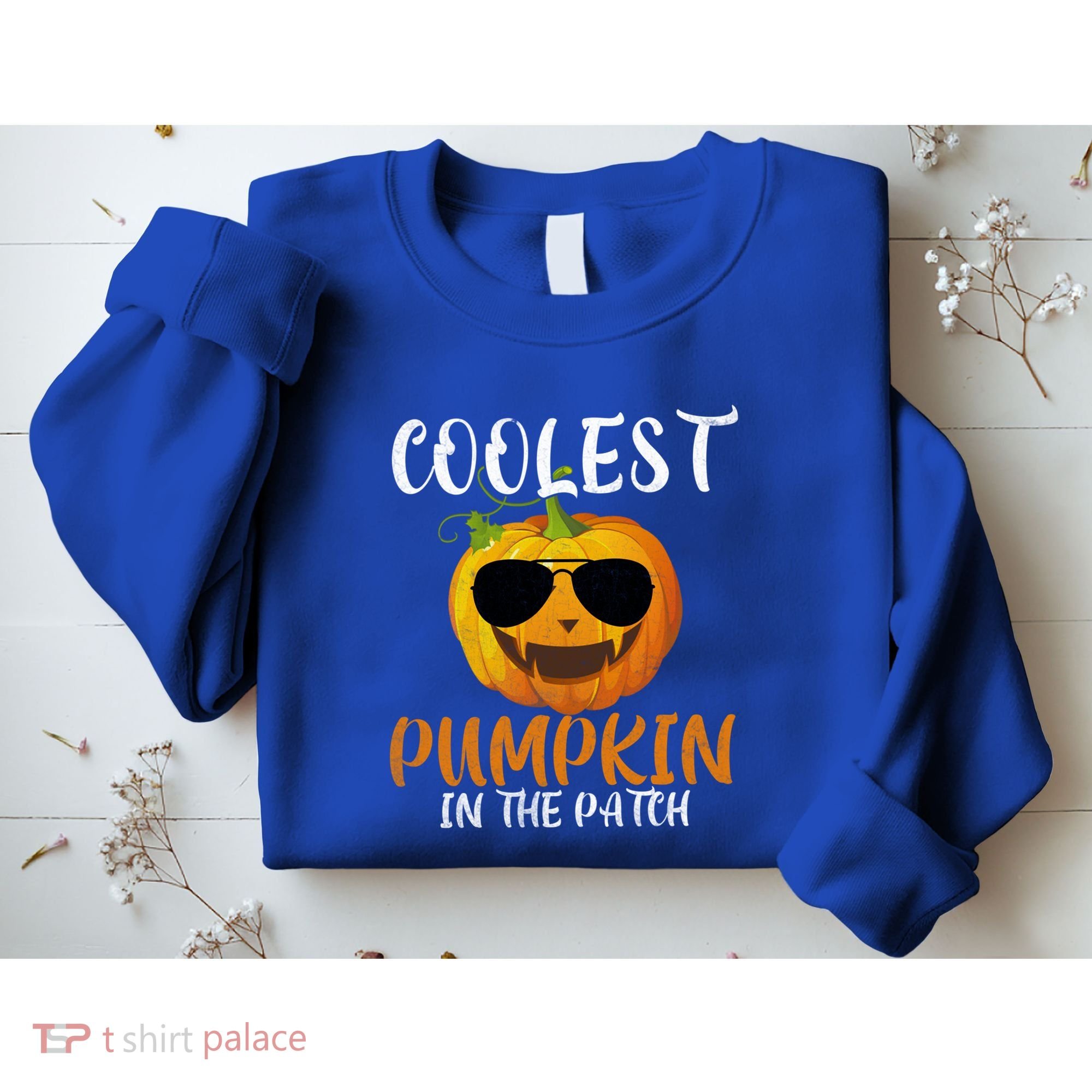 Coolest Pumpkin In The Patch Funny Halloween Gift Funny Gift Sweatshirt