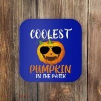 Coolest Pumpkin In The Patch Funny Halloween Gift Funny Gift Coaster thumb 0