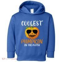 Coolest Pumpkin In The Patch Funny Halloween Gift Funny Gift Toddler Hoodie thumb 0