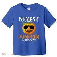 Coolest Pumpkin In The Patch Funny Halloween Gift Funny Gift Toddler T-Shirt thumb 0