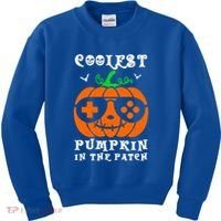 Coolest Pumpkin In The Patch Halloween Costume Meaningful Gift Kids Sweatshirt thumb 0