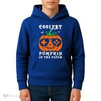 Coolest Pumpkin In The Patch Halloween Costume Meaningful Gift Kids Hoodie thumb 4