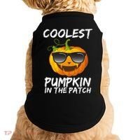 Coolest Pumpkin In The Patch Halloween Doggie Tank thumb 0