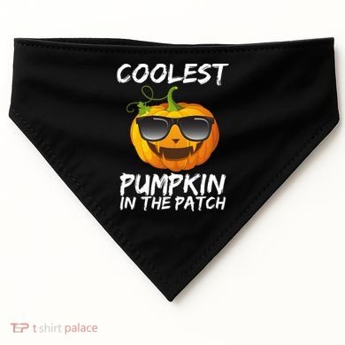 Coolest Pumpkin In The Patch Halloween USA-Made Doggie Bandana