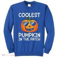 Coolest Pumpkin In The Patch Halloween Sweatshirt thumb 0