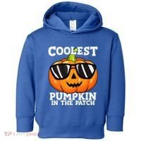 Coolest Pumpkin In The Patch Halloween Toddler Hoodie thumb 0