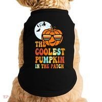 Coolest Pumpkin In The Patch Adorable Halloween Doggie Tank thumb 0