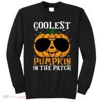Coolest Pumpkin In The Patch Sweatshirt thumb 0