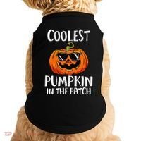 Coolest Pumpkin In The Patch Funny Halloween Gift Doggie Tank thumb 0