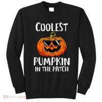 Coolest Pumpkin In The Patch Funny Halloween Gift Sweatshirt thumb 0