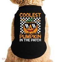 Coolest Pumpkin In The Patch Outfit Halloween Doggie Tank thumb 0