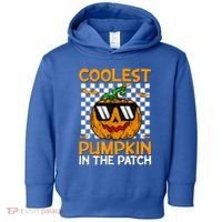 Coolest Pumpkin In The Patch Outfit Halloween Toddler Hoodie thumb 0