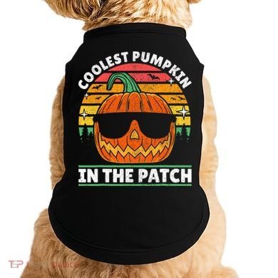 Coolest Pumpkin In The Patch Boy Retro Groovy Halloween Doggie Tank