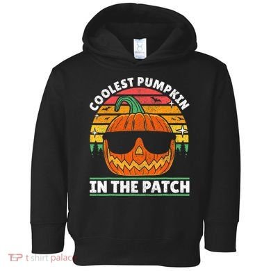 Coolest Pumpkin In The Patch Boy Retro Groovy Halloween Toddler Hoodie