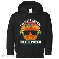 Coolest Pumpkin In The Patch Boy Retro Groovy Halloween Toddler Hoodie thumb 0
