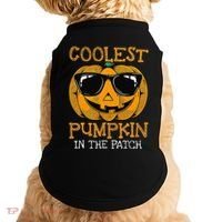 Coolest Pumpkin In The Patch Halloween Doggie Tank thumb 0