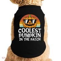 Coolest Pumpkin In The Patch Halloween Funny Gift Doggie Tank thumb 0