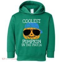 Coolest Pumpkin In The Patch Halloween Toddler Hoodie thumb 0