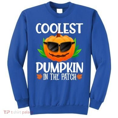 Coolest Pumpkin In The Patch Sunglasses Pumpkin Halloween Gift Sweatshirt