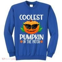 Coolest Pumpkin In The Patch Sunglasses Pumpkin Halloween Gift Sweatshirt thumb 0