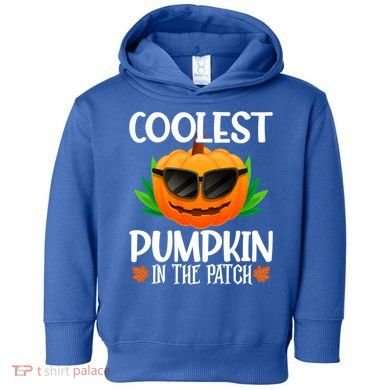 Coolest Pumpkin In The Patch Sunglasses Pumpkin Halloween Gift Toddler Hoodie