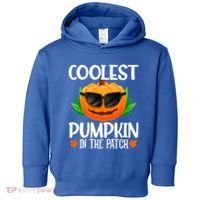 Coolest Pumpkin In The Patch Sunglasses Pumpkin Halloween Gift Toddler Hoodie thumb 0