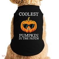 Coolest Pumpkin In The Patch Halloween Doggie Tank thumb 0