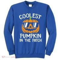 Coolest Pumpkin In The Patch Halloween Gift Sweatshirt thumb 0