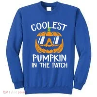 Coolest Pumpkin In The Patch Halloween Gift Sweatshirt thumb 0