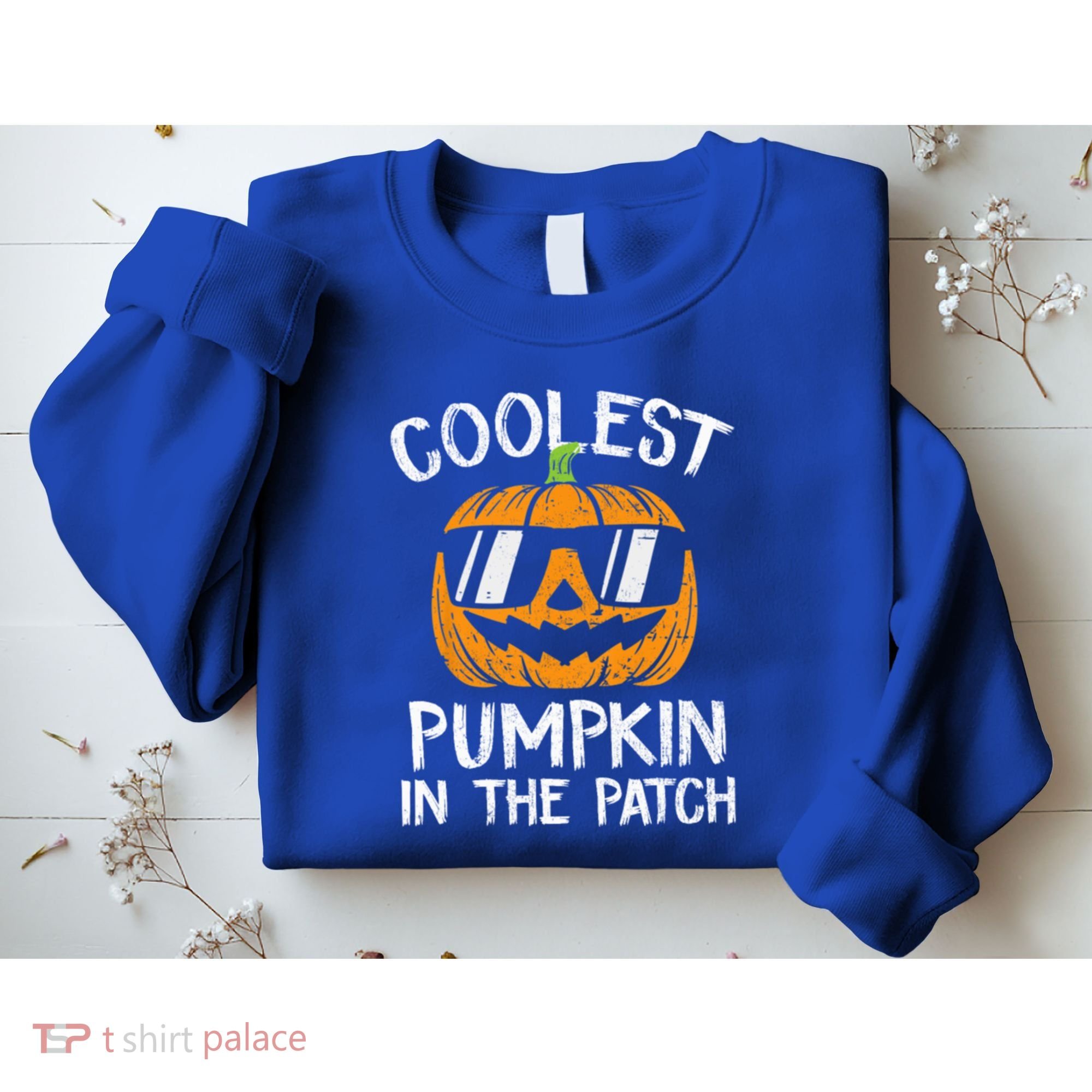 Coolest Pumpkin In The Patch Halloween Gift Sweatshirt