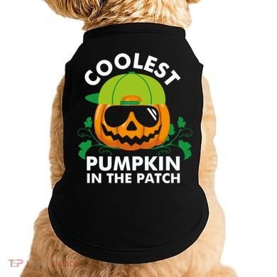 Coolest Pumpkin In The Patch Boy Pumpkin Halloween Doggie Tank