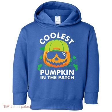 Coolest Pumpkin In The Patch Kids Boy Pumpkin Halloween Toddler Hoodie