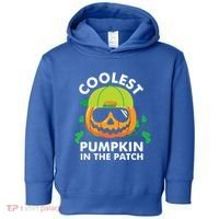 Coolest Pumpkin In The Patch Kids Boy Pumpkin Halloween Toddler Hoodie thumb 0