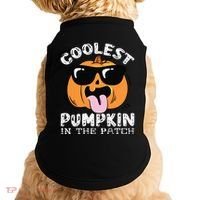 Coolest Pumpkin In The Patch Toddle Boy Halloween Kids Doggie Tank thumb 0