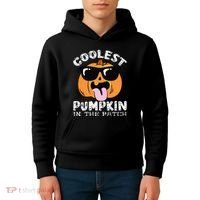 Coolest Pumpkin In The Patch Toddle Boy Halloween Kids Kids Hoodie thumb 4