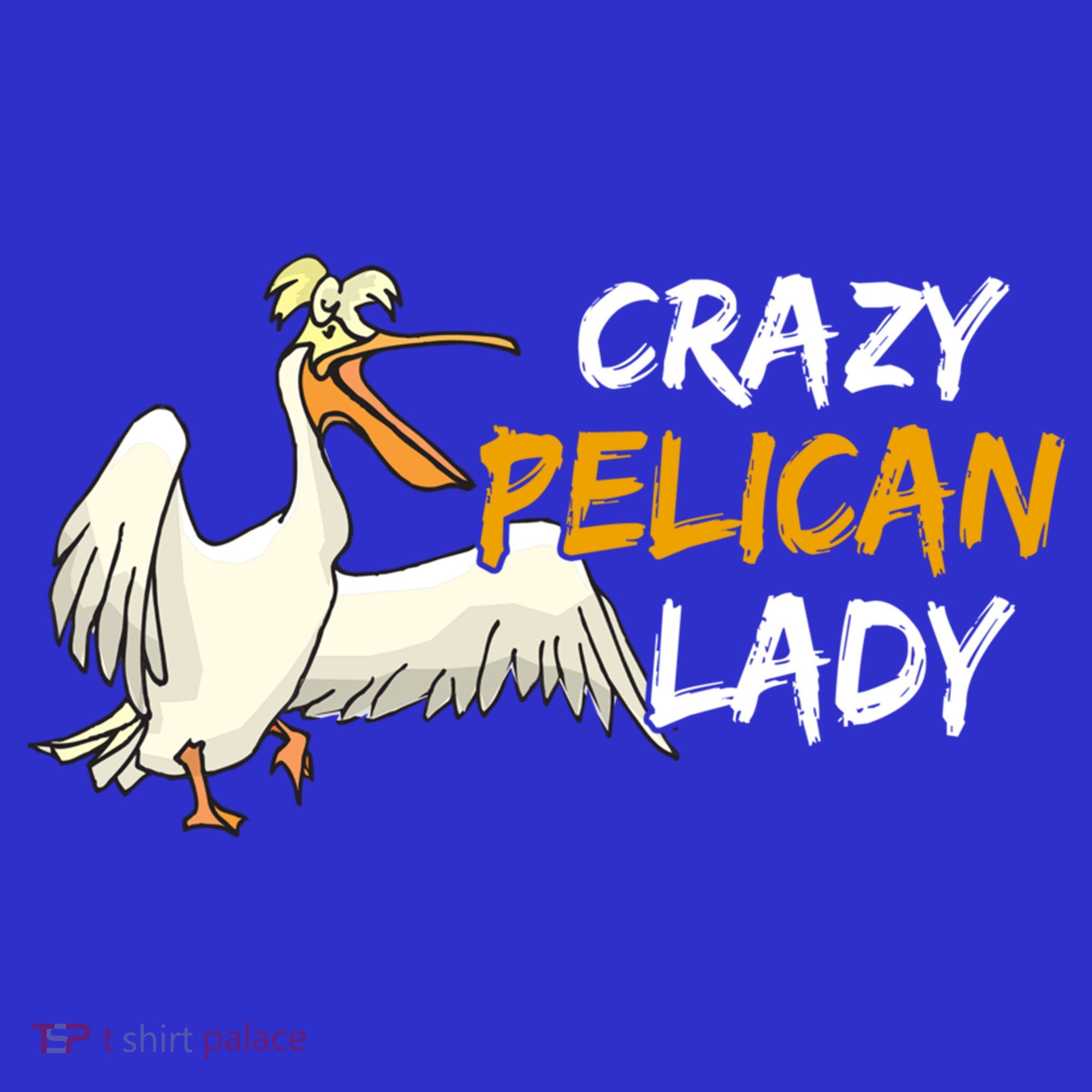 Crazy Pelican Lady Fnny Pelican Lover Gift National Bird Day Gift Sweatshirt